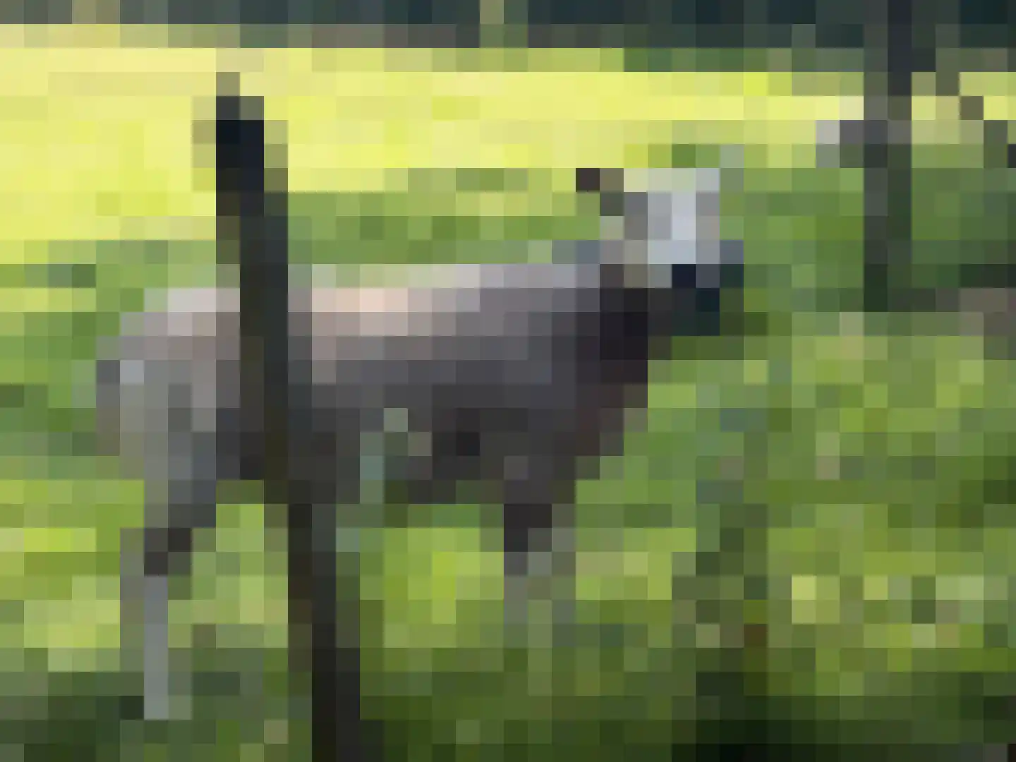 Drostenbos 3 Vollenhove thumbnail 49