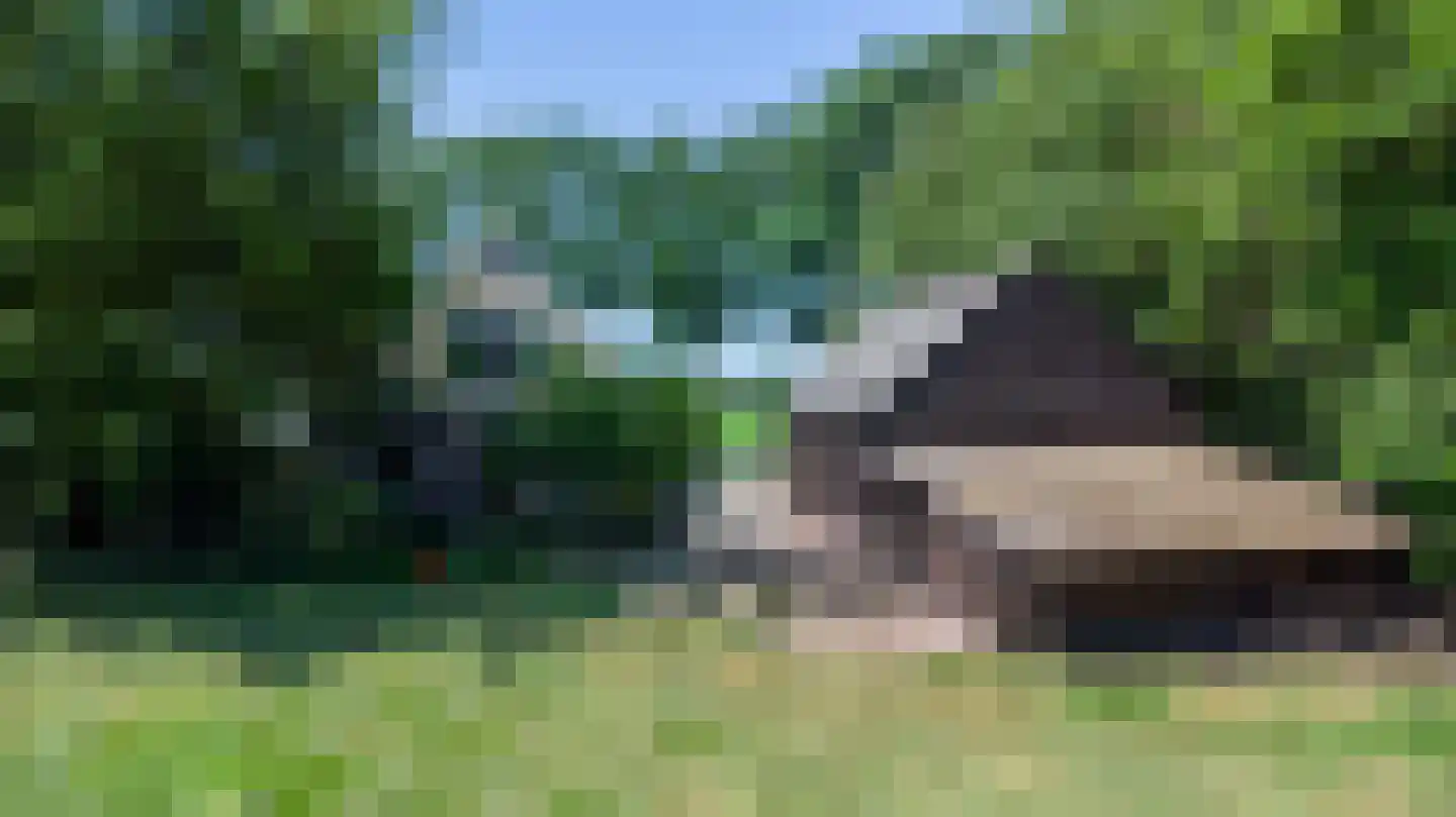 Drostenbos 3 Vollenhove thumbnail 50