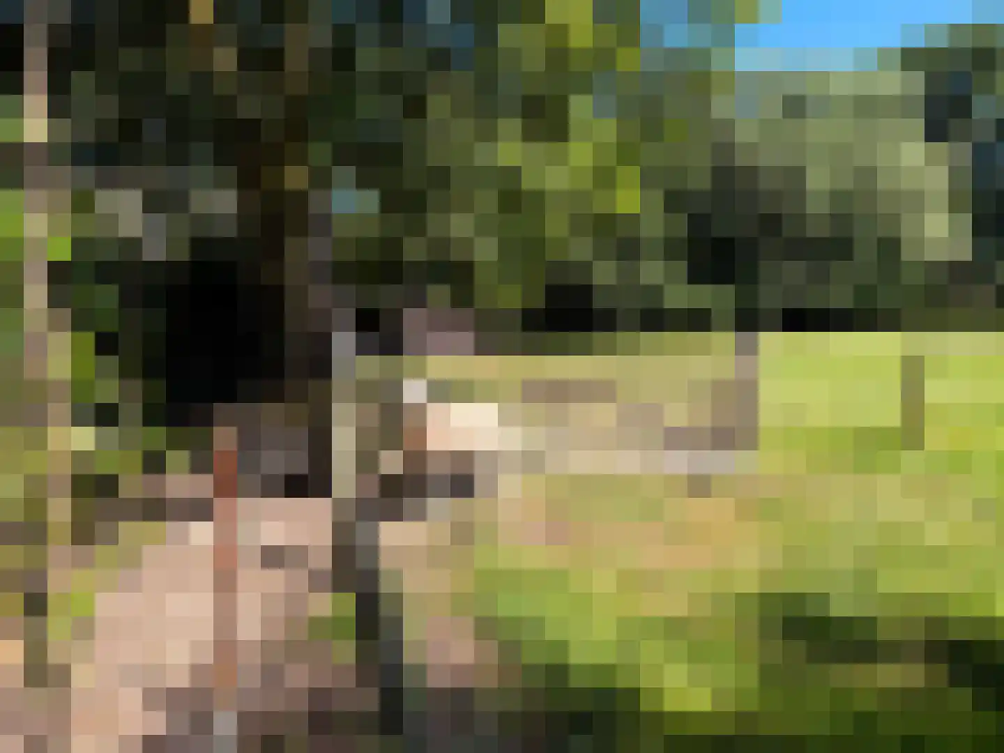 Drostenbos 3 Vollenhove thumbnail 51