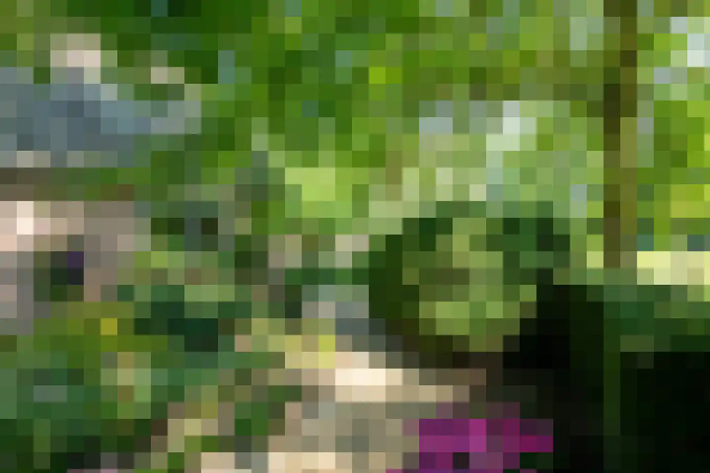 Drostenbos 3 Vollenhove thumbnail 52