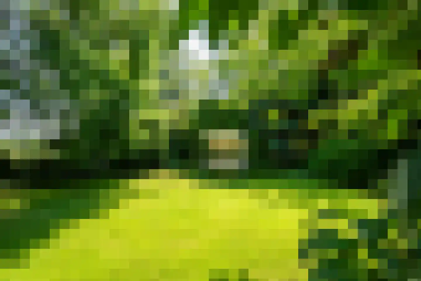 Drostenbos 3 Vollenhove thumbnail 53