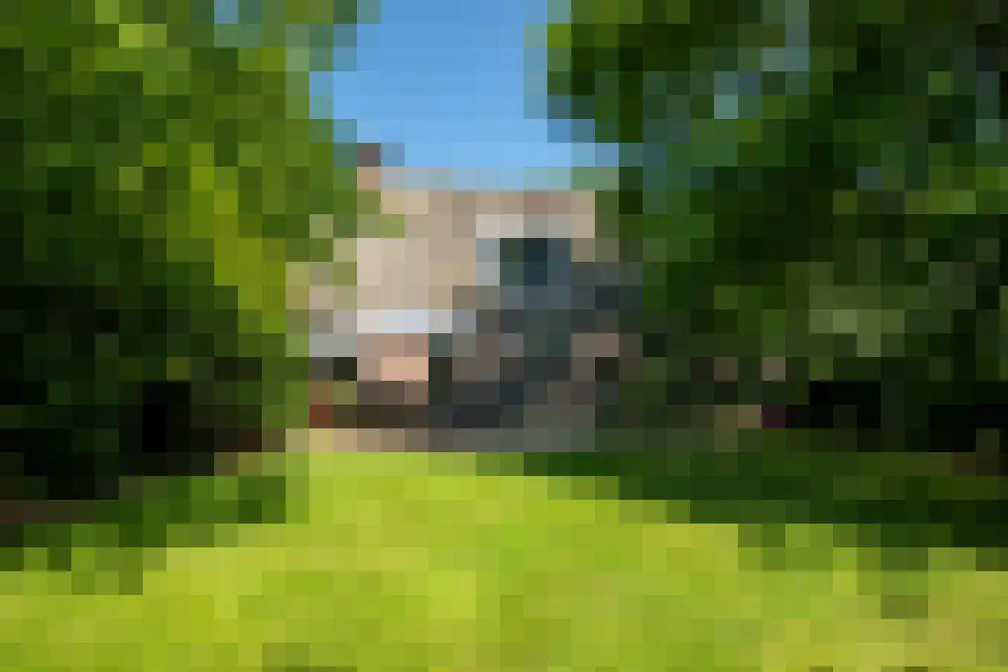 Drostenbos 3 Vollenhove thumbnail 54