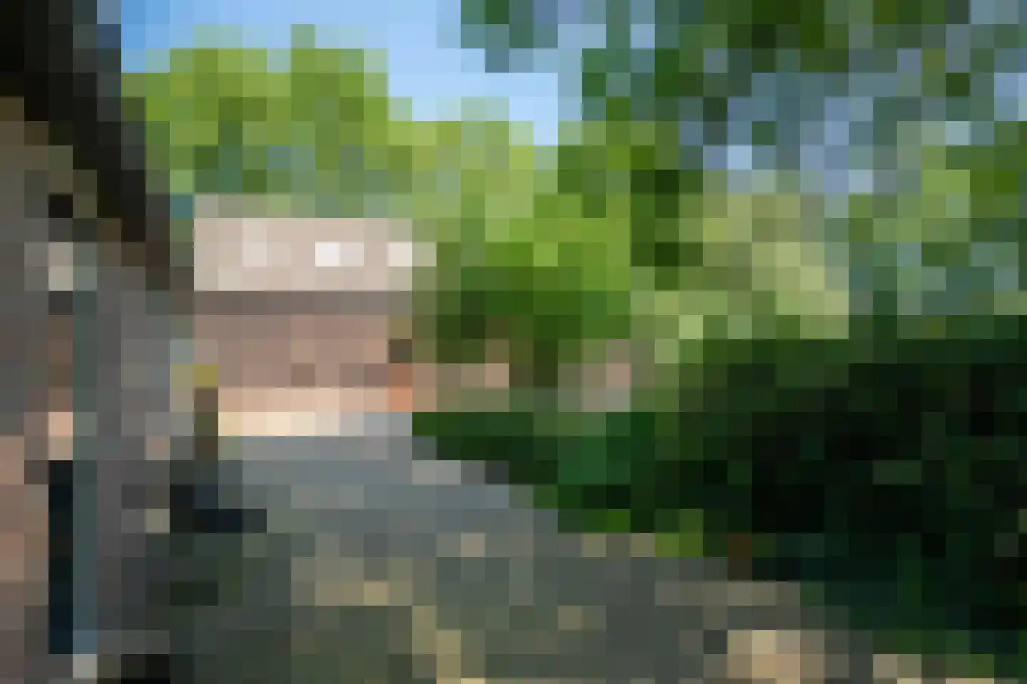 Drostenbos 3 Vollenhove thumbnail 55