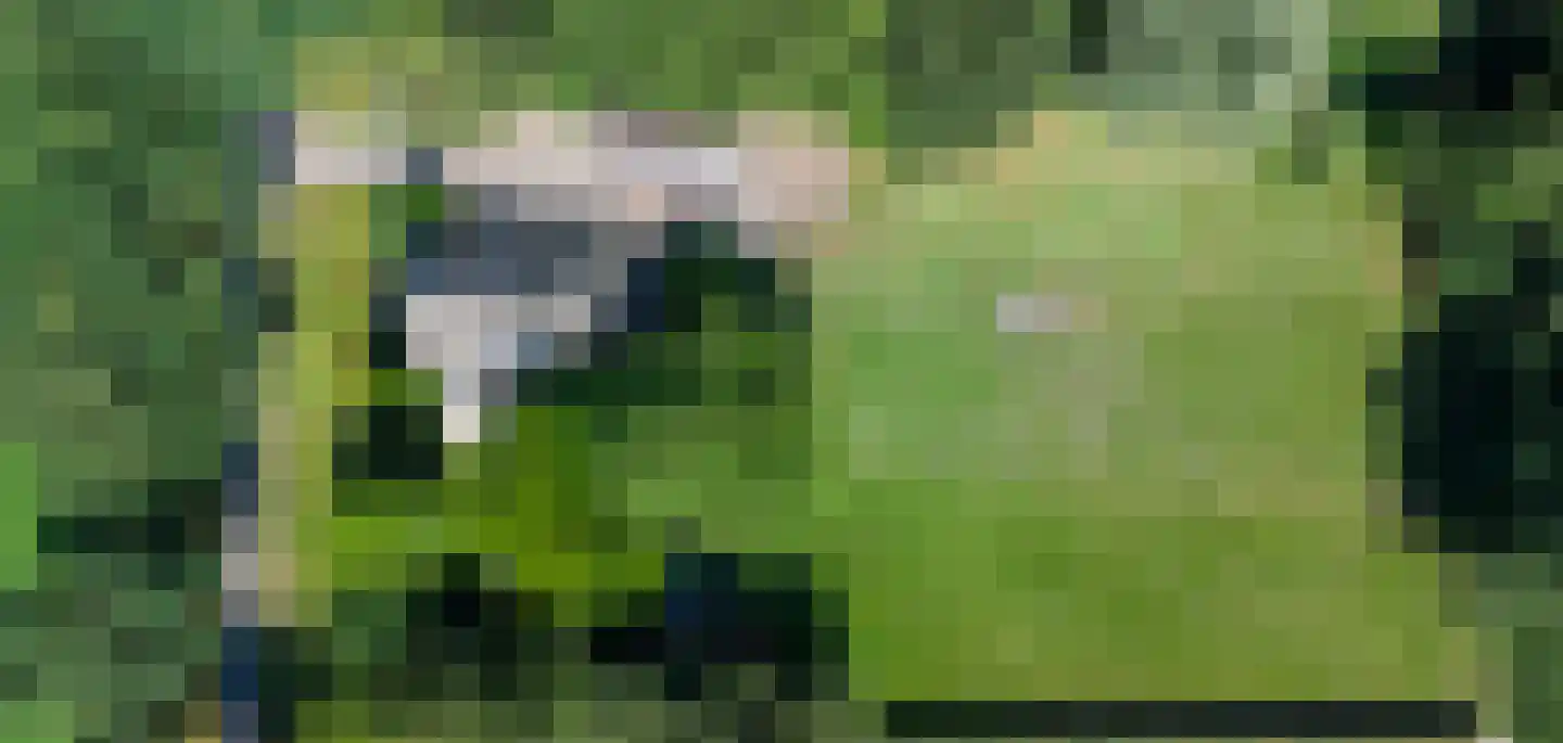 Drostenbos 3 Vollenhove thumbnail 56