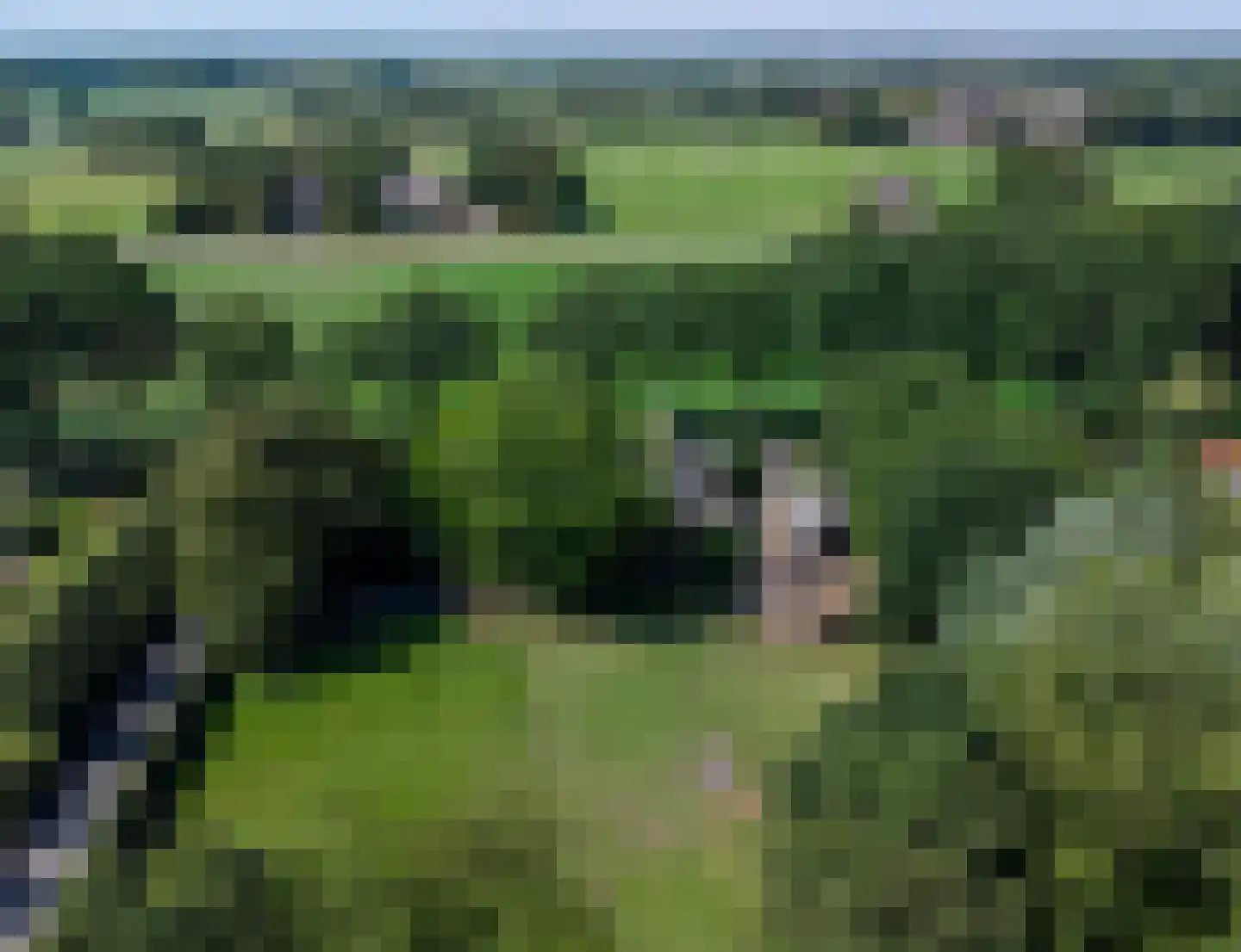 Drostenbos 3 Vollenhove thumbnail 57
