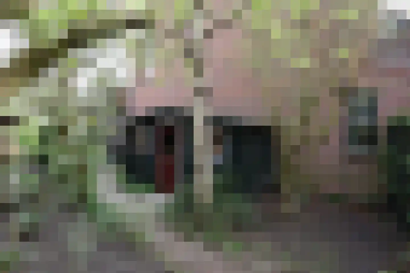 Drostendiep 19 Zaandam thumbnail 25