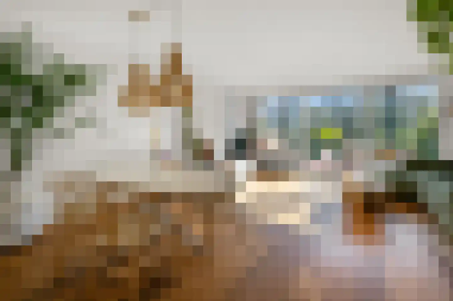 Drostendiep 19 Zaandam thumbnail 31