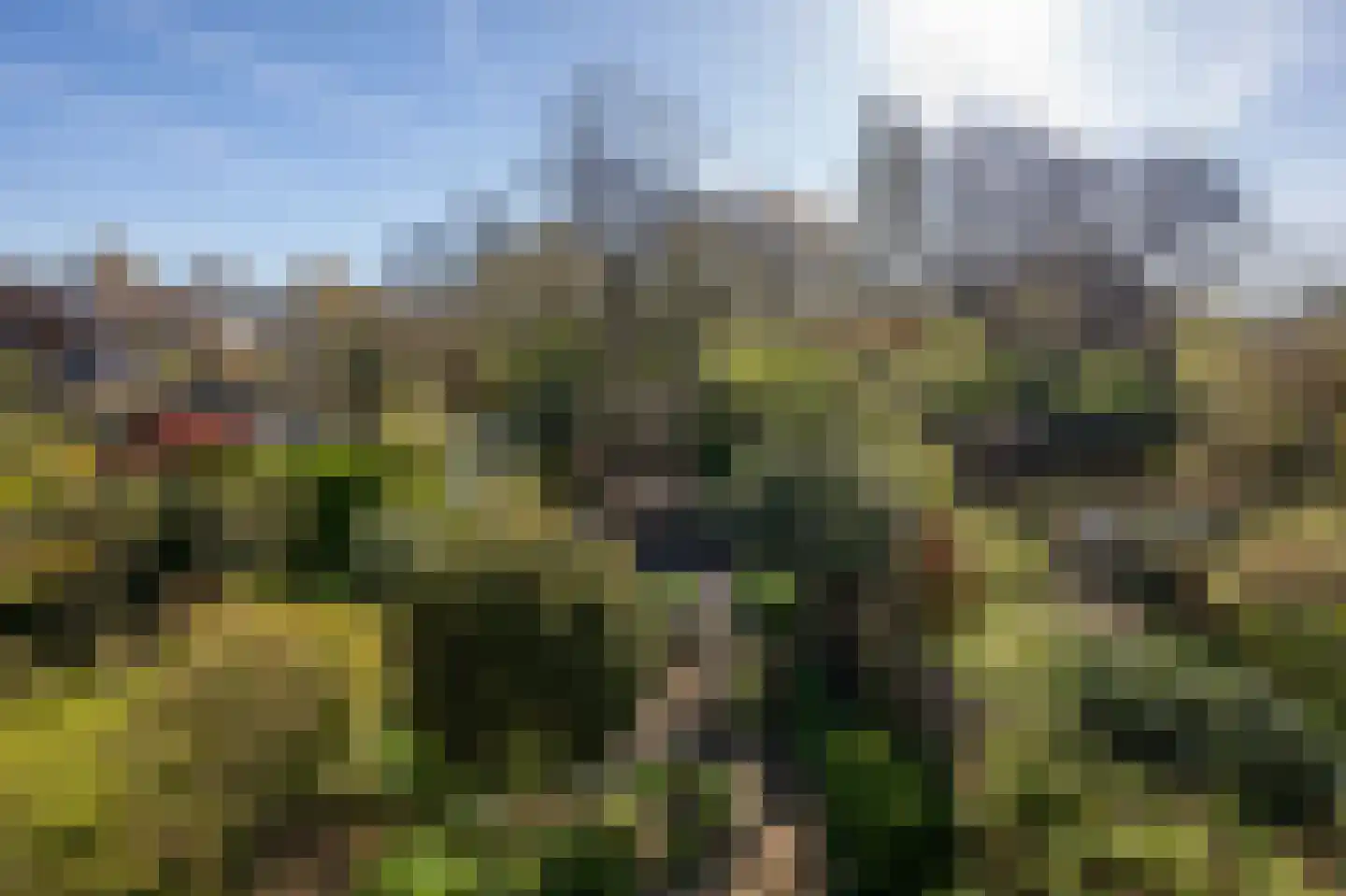 Drostendiep 19 Zaandam thumbnail 38