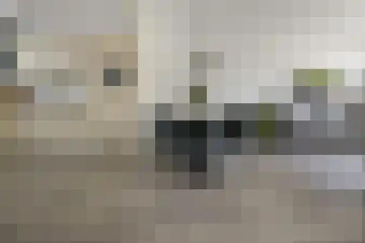 Drostendiep 21 Zaandam thumbnail 12