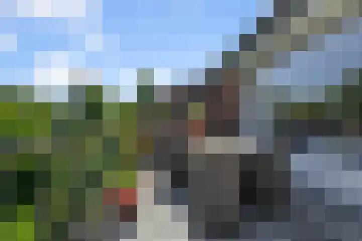 Drostendiep 21 Zaandam thumbnail 17