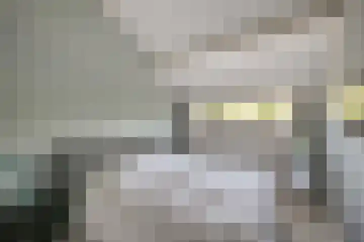 Drostendiep 21 Zaandam thumbnail 23