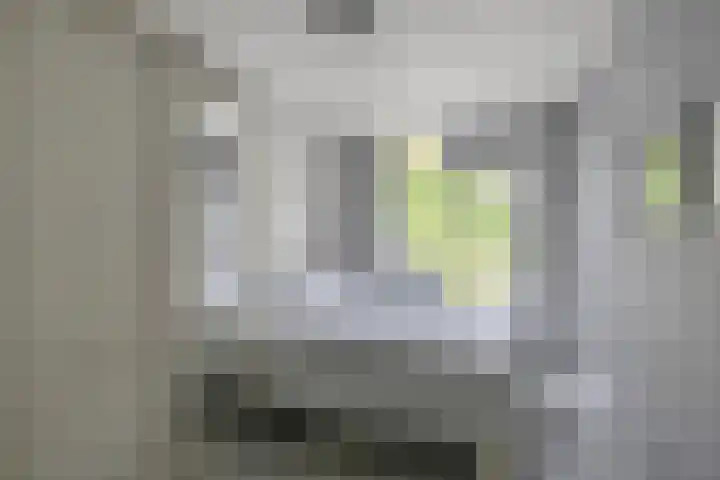 Drostendiep 21 Zaandam thumbnail 30