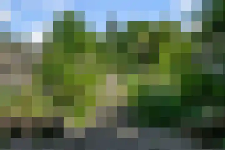 Drostendiep 21 Zaandam thumbnail 32