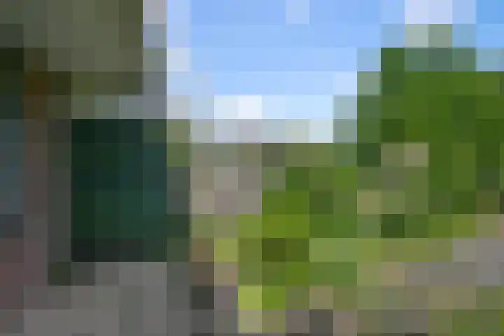 Drostendiep 21 Zaandam thumbnail 33