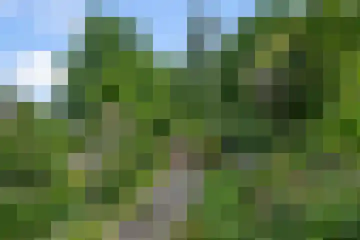 Drostendiep 21 Zaandam thumbnail 34
