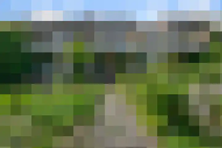 Drostendiep 21 Zaandam thumbnail 35