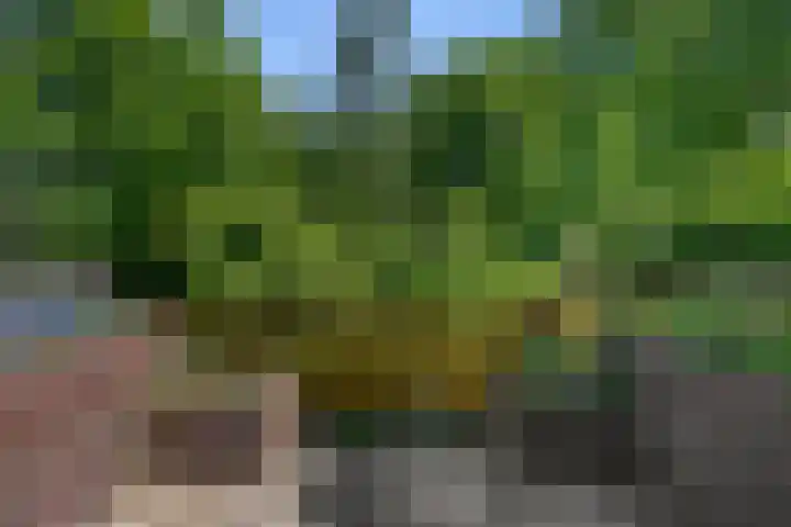 Drostendiep 21 Zaandam thumbnail 36