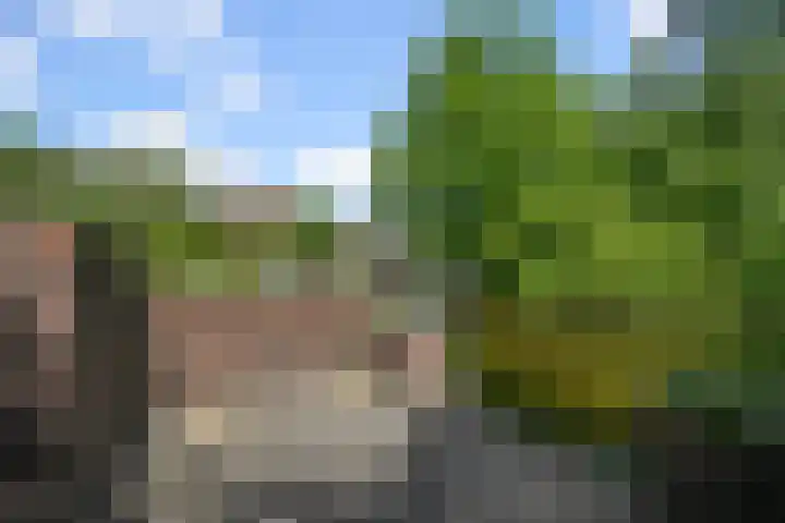 Drostendiep 21 Zaandam thumbnail 37