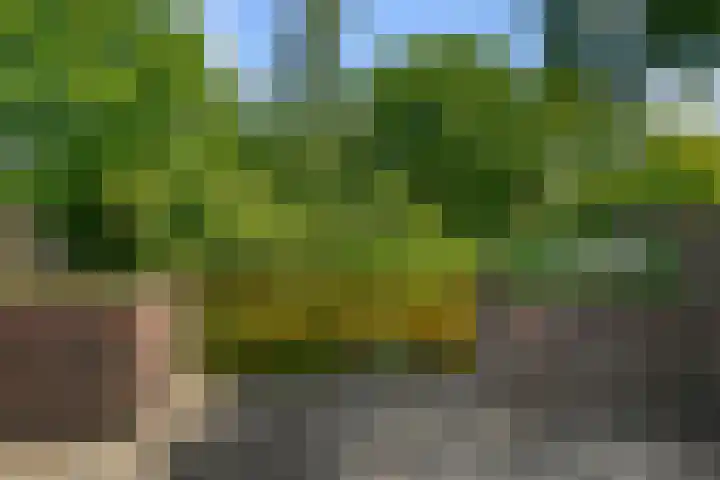 Drostendiep 21 Zaandam thumbnail 38