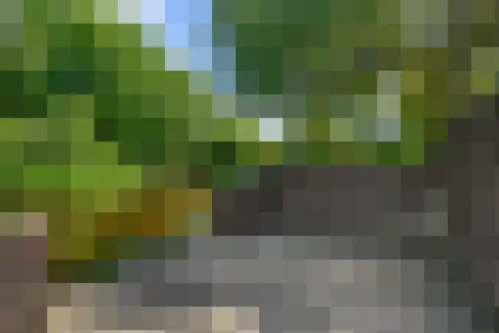 Drostendiep 21 Zaandam thumbnail 39