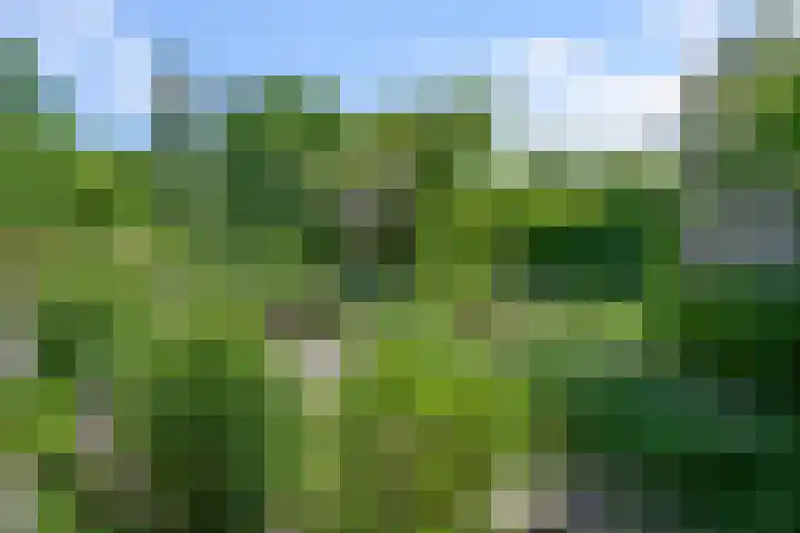 Drostendiep 21 Zaandam thumbnail 41