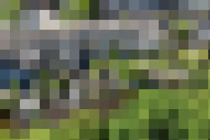 Drostendiep 21 Zaandam thumbnail 49