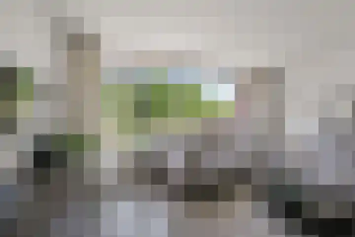Drostendiep 21 Zaandam thumbnail 5