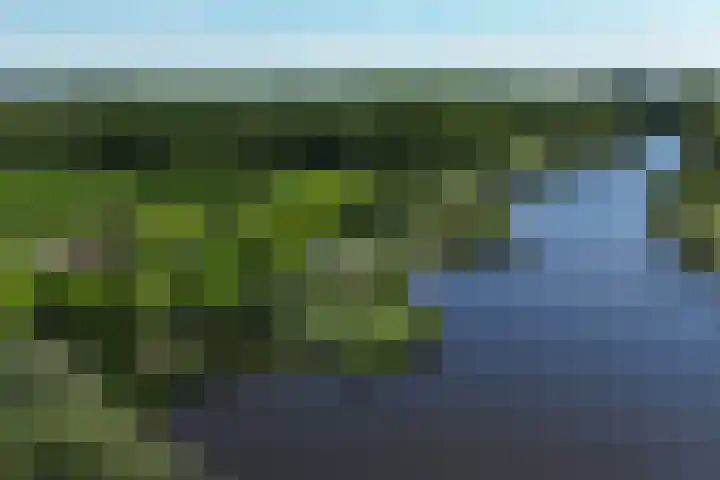 Drostendiep 21 Zaandam thumbnail 52