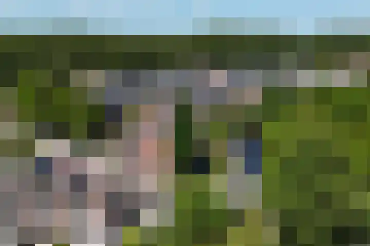 Drostendiep 21 Zaandam thumbnail 53