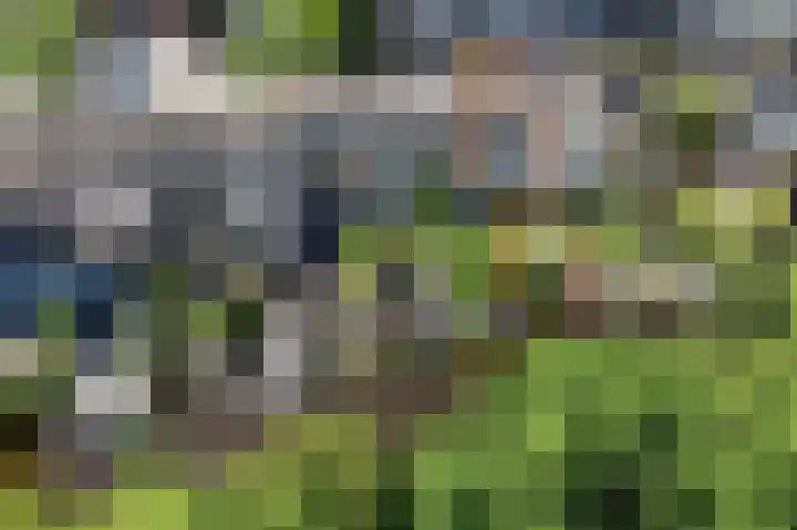 Drostendiep 21 Zaandam thumbnail 57
