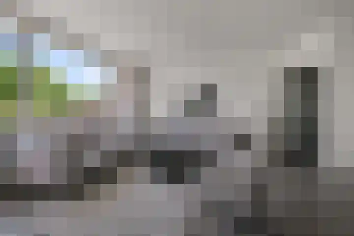 Drostendiep 21 Zaandam thumbnail 9