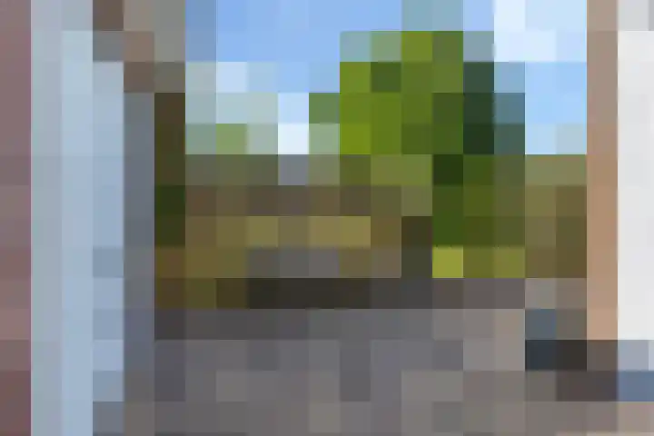 Drostendijk 2 Beemte Broekland thumbnail 26