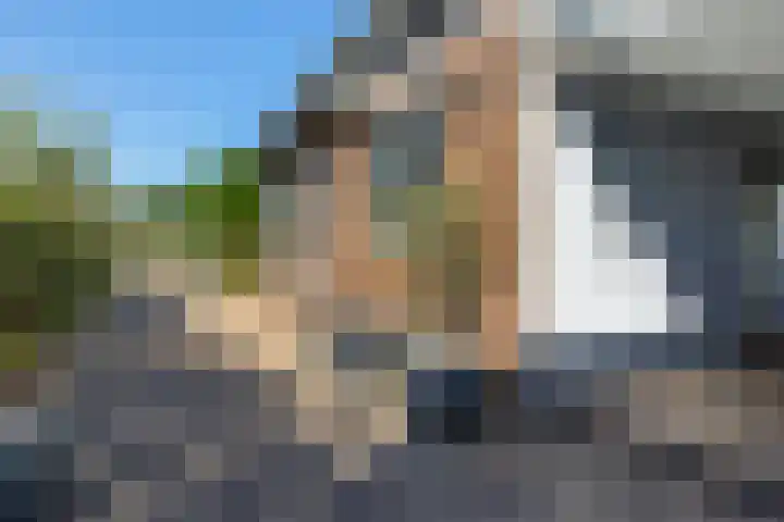 Drostendijk 2 Beemte Broekland thumbnail 27