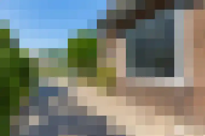 Drostendijk 2 Beemte Broekland thumbnail 28