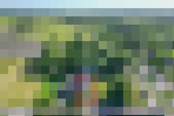 Drostendijk 2 Beemte Broekland thumbnail 32