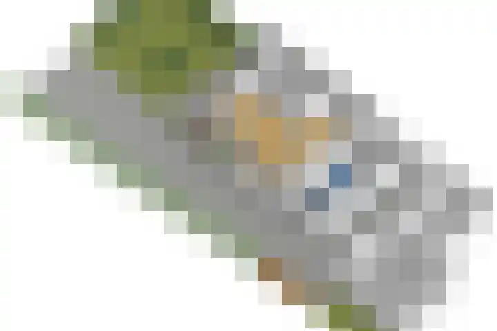 Drostendijk 2 Beemte Broekland thumbnail 39