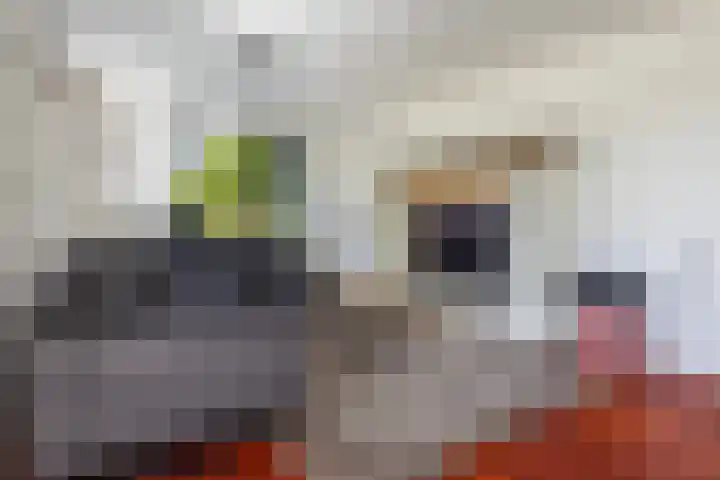 Drostendijk 2 Beemte Broekland thumbnail 5