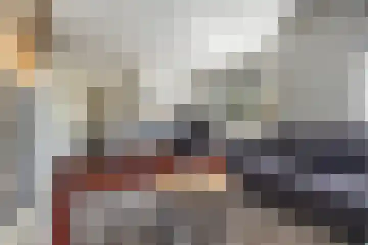 Drostendijk 2 Beemte Broekland thumbnail 6