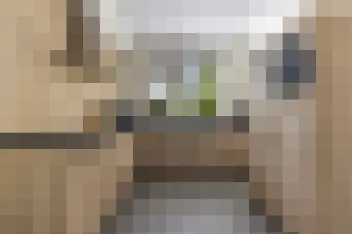 Drostendijk 2 Beemte Broekland thumbnail 9