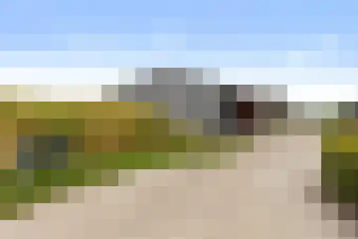 Drostendijk 69 A Beemte Broekland thumbnail 34