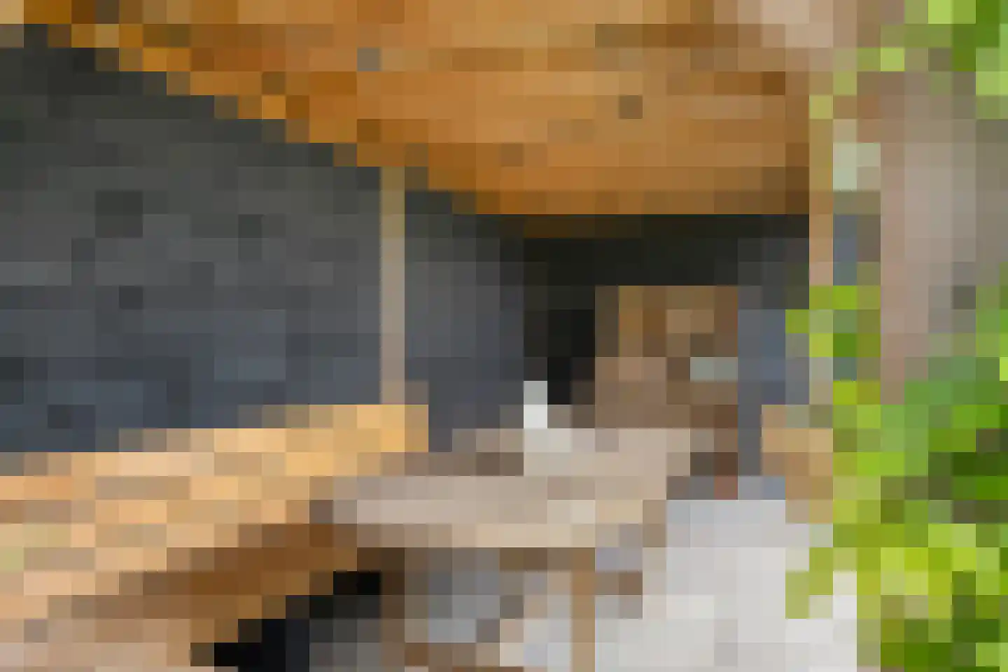 Drostenstraat 21 Holten thumbnail 31