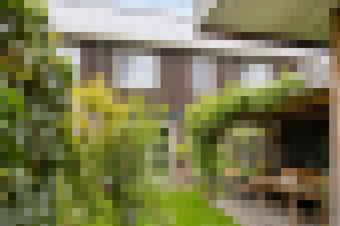Drostenstraat 21 Holten thumbnail 36
