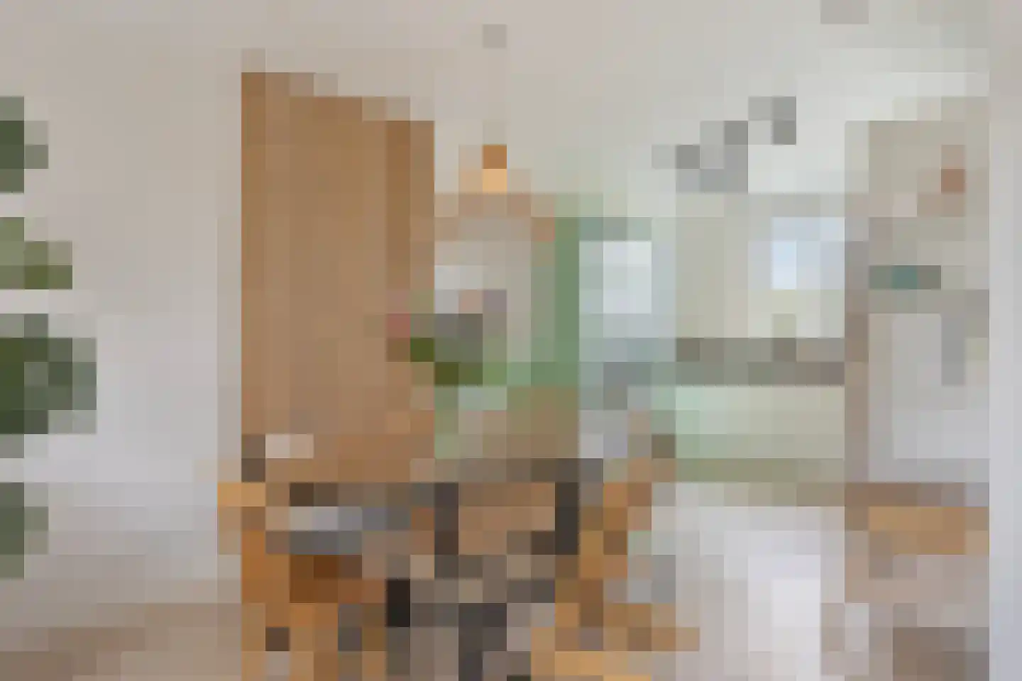 Drostenstraat 21 Holten thumbnail 7