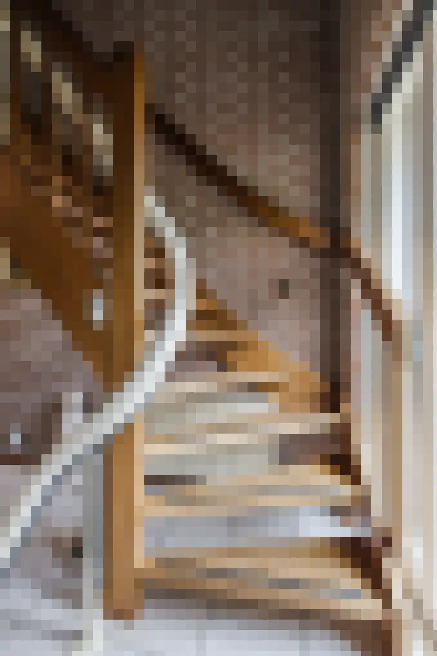 Drostenstraat 36 Zuidwolde thumbnail 31