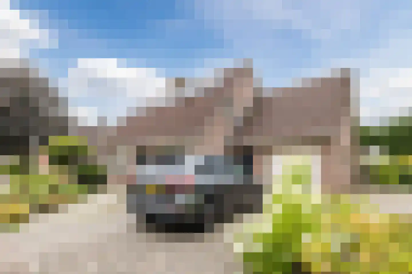 Drostenstraat 36 Zuidwolde thumbnail 4
