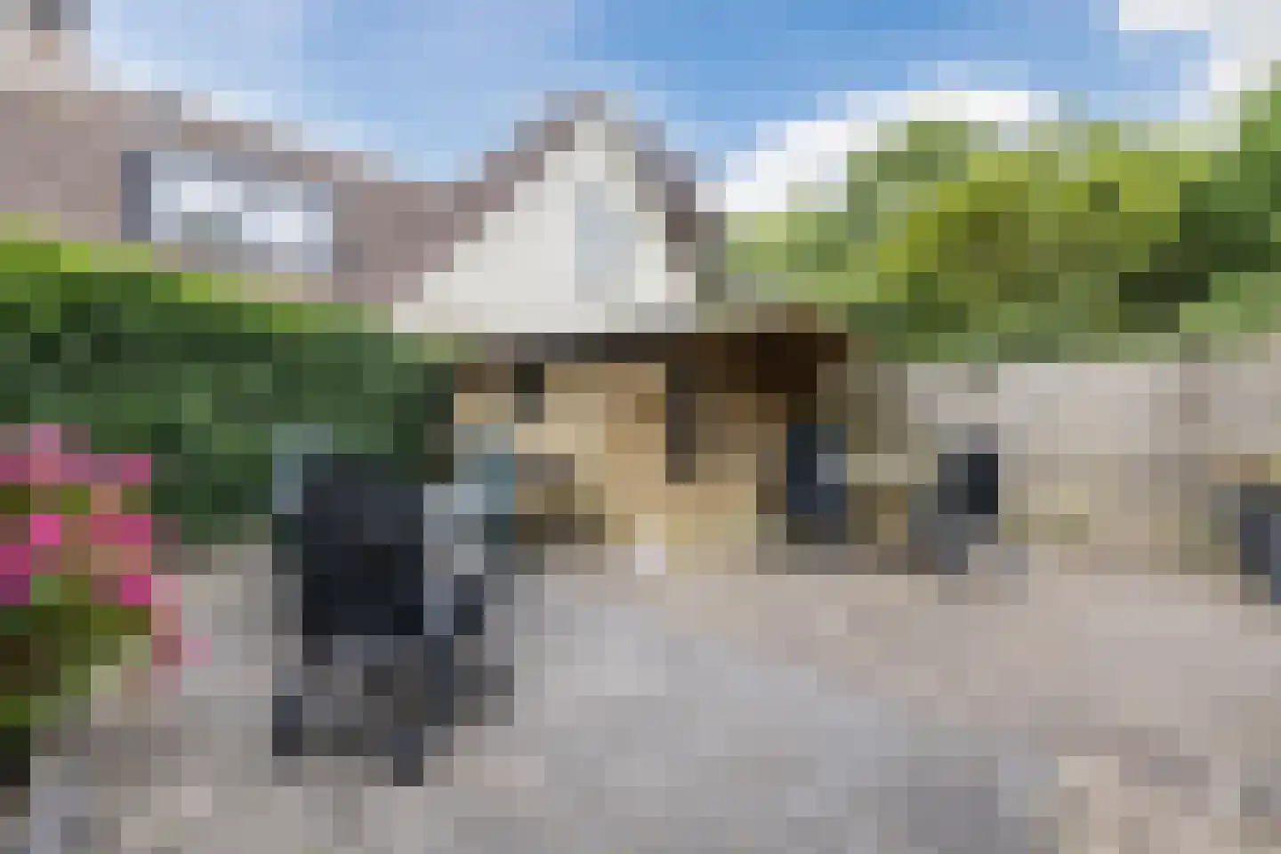 Drostenstraat 36 Zuidwolde thumbnail 50