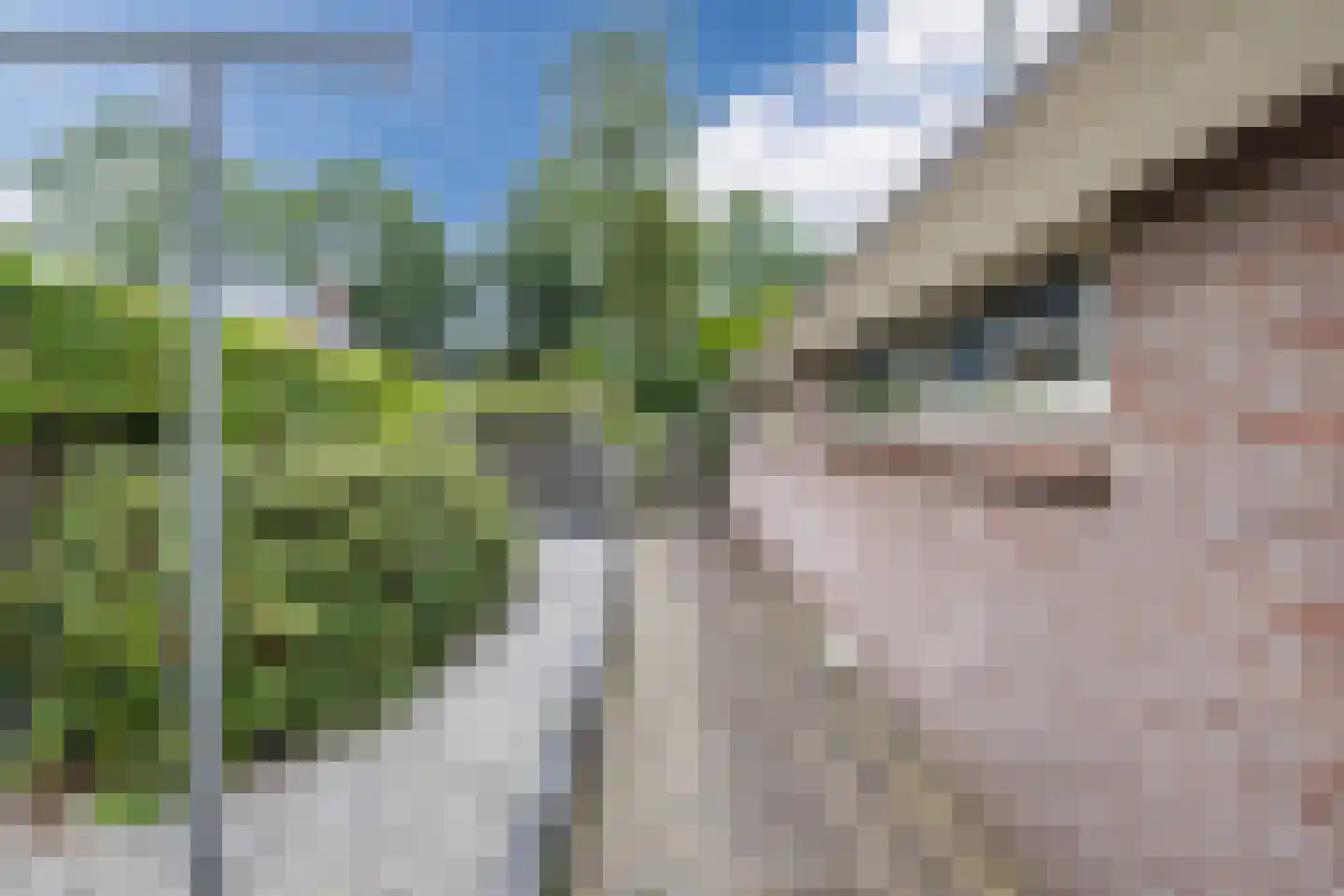 Drostenstraat 36 Zuidwolde thumbnail 53