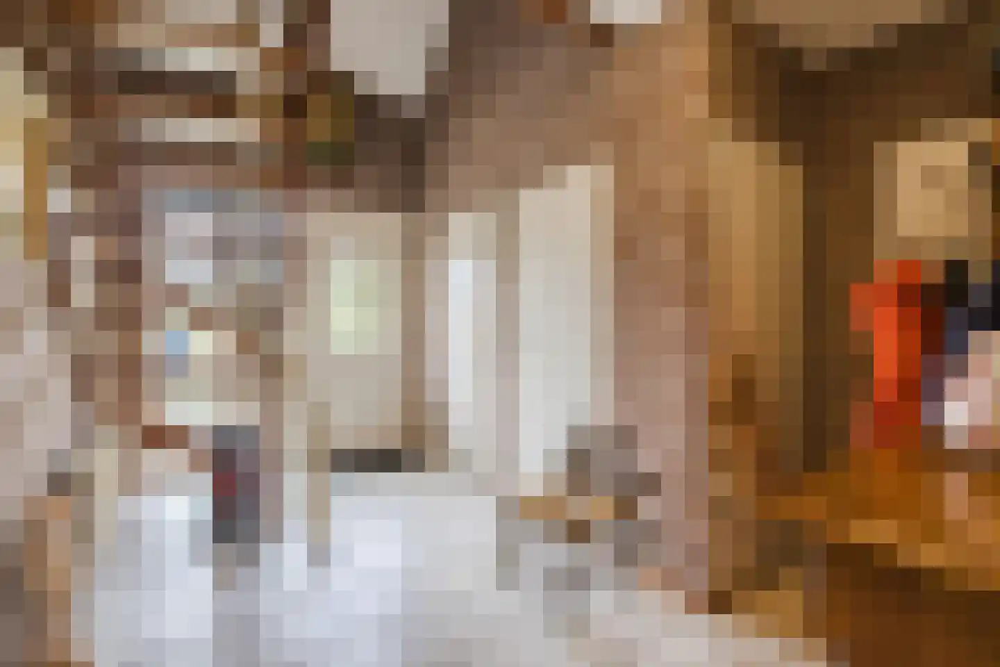 Drostenstraat 36 Zuidwolde thumbnail 7