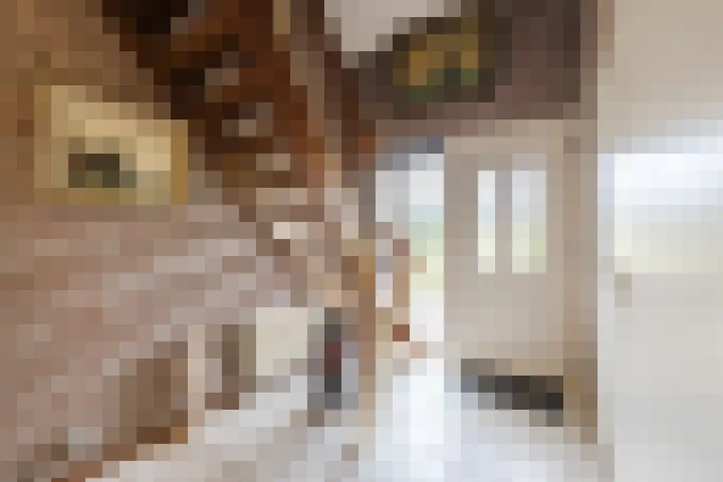 Drostenstraat 36 Zuidwolde thumbnail 8