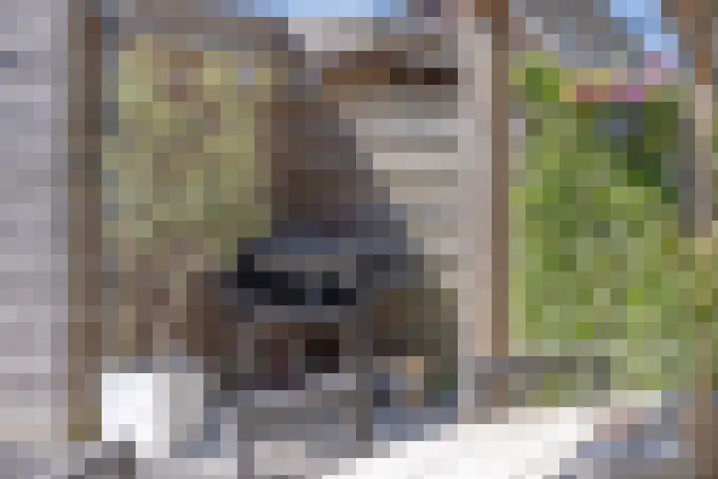 Drostenstraat 41 Holten thumbnail 38